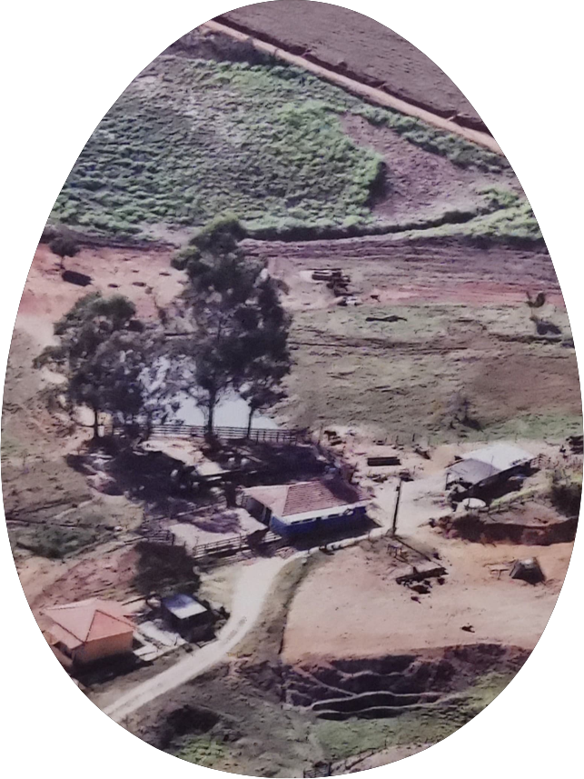 Vista aérea da primeira propriedade da Santa Mônica em Minas Gerais