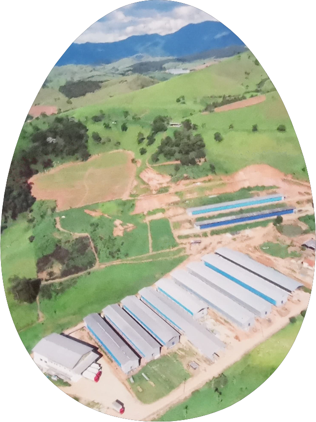 Unidades de produção da Santa Mônica na Serra da Mantiqueira