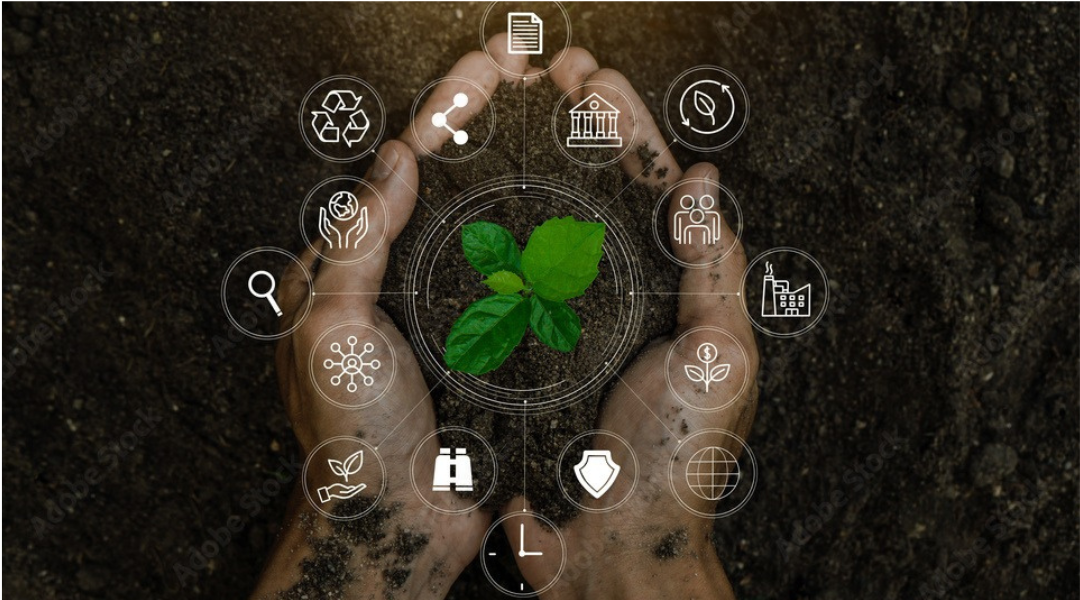 Mãos com muda e terra, símbolo de reciclagem e cuidado ambiental
